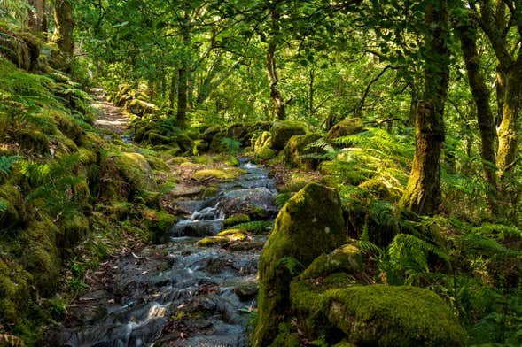 Torrentismo al Parco Peneda-Gerês