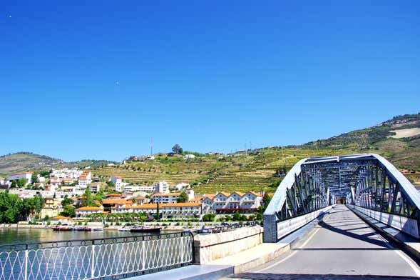 Crociera di 1 giorno a Pinhão