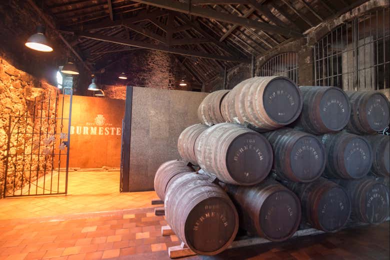 Visita guidata della Cantina Burmester