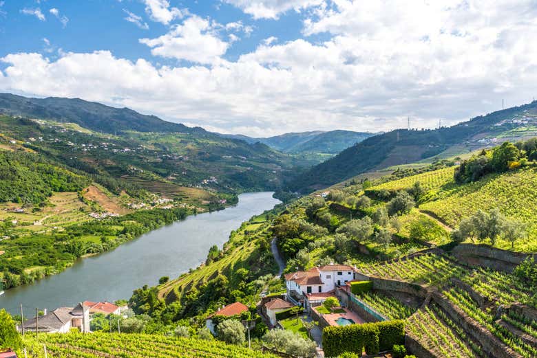 Paesaggi di Régua
