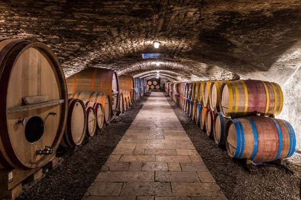 Tour di vigneti e cantine nella Valle del Douro