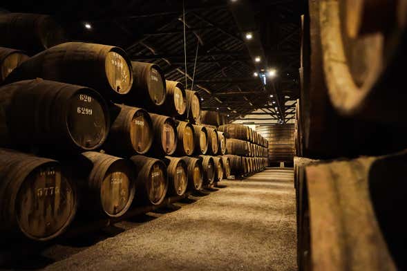 Tour enologico + Visita a una cantina
