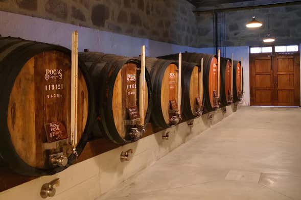 Visita alla cantina Poças di Porto