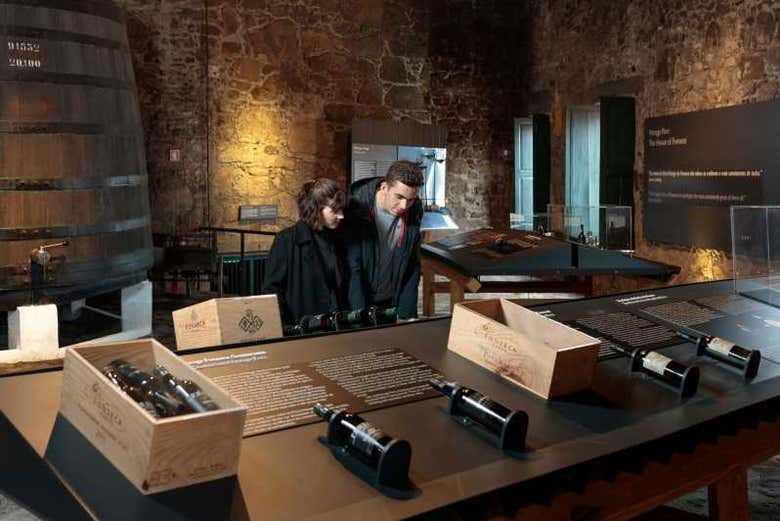 I vini della cantina Fonseca