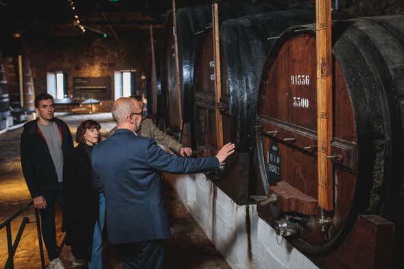 Visita alla cantina Fonseca con cena e spettacolo di fado